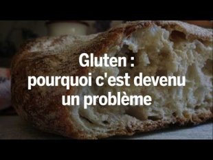 Contexte professionnel 16 - SP3 - "Gluten : pourquoi c'est devenu un problème"