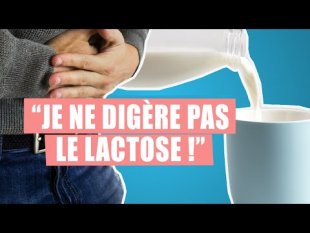 Contexte professionnel 16 - SP1 - "Lactose : intolérance ou allergie ?"