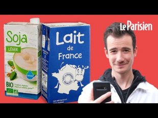 Contexte professionnel 16 - SP1 - "Les laits végétaux peuvent-ils remplacer le lait de vache ?"